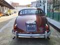 Jaguar MK II Daimler 2.5 V8 Saloon 250 Marrone - thumbnail 6