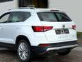 SEAT Ateca Xcellence 4Drive ACC/360/AHK 1.Hand Blanc - thumbnail 5