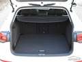 Volkswagen Golf Variant 2.0 TDI Life DSG Fari LED, App-Connect, ACC KM CER Weiß - thumbnail 11