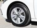 Volkswagen Golf Variant 2.0 TDI Life DSG Fari LED, App-Connect, ACC KM CER Weiß - thumbnail 13