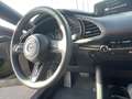 Mazda 3 Mazda3 5HB 2.5L e-SKYACTIV G 140ps 6AT Homura Rot - thumbnail 16