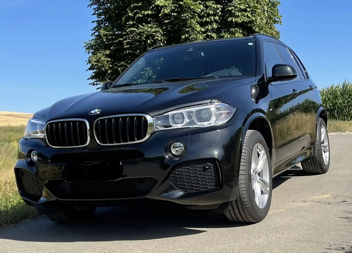 BMW X5 xDrive 30 d Schwarz - 1