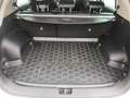 Kia Sportage 1.6 crdi mhev Energy Design Pack 2wd 115cv - thumbnail 12