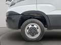 Iveco Daily 35C14 CELLA FRIGO Blanc - thumbnail 17