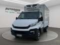 Iveco Daily 35C14 CELLA FRIGO Blanc - thumbnail 1
