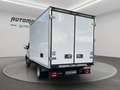 Iveco Daily 35C14 CELLA FRIGO Blanc - thumbnail 6