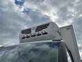 Iveco Daily 35C14 CELLA FRIGO Blanc - thumbnail 16