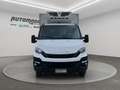 Iveco Daily 35C14 CELLA FRIGO Blanc - thumbnail 2