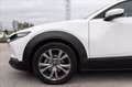Mazda CX-30 2.0 m-hybrid Executive 2wd 122cv 6mt Nero - thumbnail 7