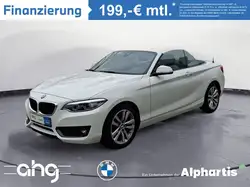 Bmw 218 i Cabrio Aut. Navi Business Klimaaut. PDC RFT