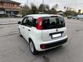 Fiat Panda PANDA 1,0 HYBRID 70CV EASY Bianco - thumbnail 4