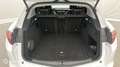 Alfa Romeo Stelvio 2.2 Diesel 190ch Executive AT8 MY19 - thumbnail 14