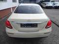 Mercedes-Benz E 220 Taxi Beige - thumbnail 6