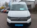 Volkswagen Crafter Plus 35 Kasten HD L2H2 / Bluetooth, PDC Blanco - thumbnail 12