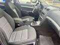 Skoda Octavia 1.6tdi 4x4 Cinghia E Tagliando Appena Fatti - thumbnail 11
