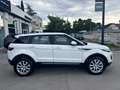 Land Rover Range Rover Evoque Range Rover Evoque I 2016 5p 2.0 td4 Pure 150cv Bianco - thumbnail 4