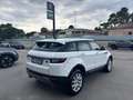 Land Rover Range Rover Evoque Range Rover Evoque I 2016 5p 2.0 td4 Pure 150cv Bianco - thumbnail 5