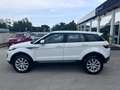 Land Rover Range Rover Evoque Range Rover Evoque I 2016 5p 2.0 td4 Pure 150cv Bianco - thumbnail 8