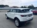 Land Rover Range Rover Evoque Range Rover Evoque I 2016 5p 2.0 td4 Pure 150cv Bianco - thumbnail 7