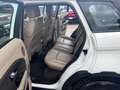 Land Rover Range Rover Evoque Range Rover Evoque I 2016 5p 2.0 td4 Pure 150cv Bianco - thumbnail 10
