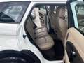 Land Rover Range Rover Evoque Range Rover Evoque I 2016 5p 2.0 td4 Pure 150cv Bianco - thumbnail 12