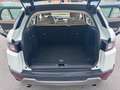 Land Rover Range Rover Evoque Range Rover Evoque I 2016 5p 2.0 td4 Pure 150cv Bianco - thumbnail 11