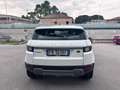 Land Rover Range Rover Evoque Range Rover Evoque I 2016 5p 2.0 td4 Pure 150cv Bianco - thumbnail 6