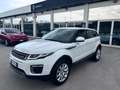 Land Rover Range Rover Evoque Range Rover Evoque I 2016 5p 2.0 td4 Pure 150cv Bianco - thumbnail 1
