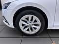 Skoda Octavia Combi 2.0 TDI DSG STYLE NAVI AHK PDC SITZHZG Weiß - thumbnail 8