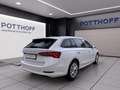 Skoda Octavia Combi 2.0 TDI DSG STYLE NAVI AHK PDC SITZHZG Weiß - thumbnail 5
