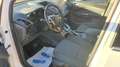 Ford C-Max C-Max7 2.0 TDCi 115CV Powershift Titanium TTPK Bus Blanc - thumbnail 10