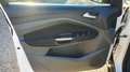 Ford C-Max C-Max7 2.0 TDCi 115CV Powershift Titanium TTPK Bus Bianco - thumbnail 11