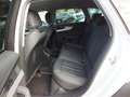 Audi A4 allroad 40 TDI 204 CV .PELLE-ADAPTIVE CRUIS.C-MATRIX Weiß - thumbnail 11