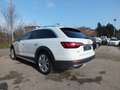 Audi A4 allroad 40 TDI 204 CV .PELLE-ADAPTIVE CRUIS.C-MATRIX Weiß - thumbnail 6