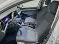 Volkswagen Golf VIII 1.5 TSI Move Alb - thumbnail 11