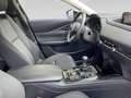 Mazda CX-30 /G122/Comfort+/Style Schwarz - thumbnail 21