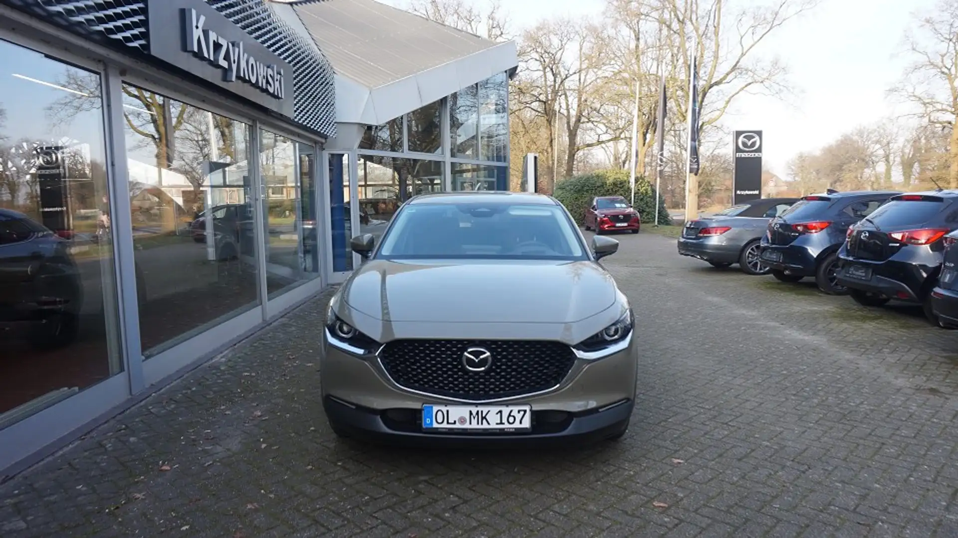 Mazda CX-30 2.5L e-SKYACTIV G 140ps FWD Takumi BLOP Beige - 2