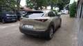 Mazda CX-30 2.5L e-SKYACTIV G 140ps FWD Takumi BLOP Beige - thumbnail 7