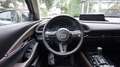 Mazda CX-30 2.5L e-SKYACTIV G 140ps FWD Takumi BLOP Beige - thumbnail 14