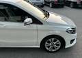 Mercedes-Benz B 180 d Aut. *Leder*Navi*RFK*LED*SHZ*TOP* Weiß - thumbnail 14