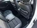 Mercedes-Benz B 180 d Aut. *Leder*Navi*RFK*LED*SHZ*TOP* Weiß - thumbnail 26
