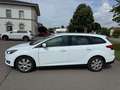 Ford Focus 2.0 TDCi Titanium 1.Hand SHG SHZ LHZ BFS Wit - thumbnail 3