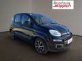 Fiat Panda 1,2 69 Lounge Schwarz - thumbnail 17