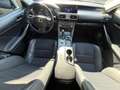 Lexus IS 300 300h Aut. Silber - thumbnail 11