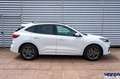 Ford Kuga Kuga ST-Line 2.5 PHEV 225cv Aut CVT - - thumbnail 9
