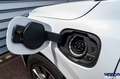 Ford Kuga Kuga ST-Line 2.5 PHEV 225cv Aut CVT - - thumbnail 23