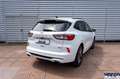 Ford Kuga Kuga ST-Line 2.5 PHEV 225cv Aut CVT - - thumbnail 11