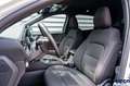 Ford Kuga Kuga ST-Line 2.5 PHEV 225cv Aut CVT - - thumbnail 14