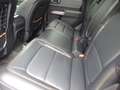 Ford Bronco Badlands e-4WD Dienstwagen der Ford-Werke Blau - thumbnail 11