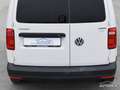 Volkswagen Caddy MAXI 1.4 TGI 110CV VAN METANO, CLIMA, SENSORI Bianco - thumbnail 36